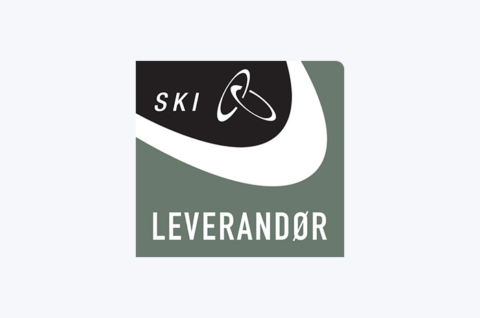Website SKI