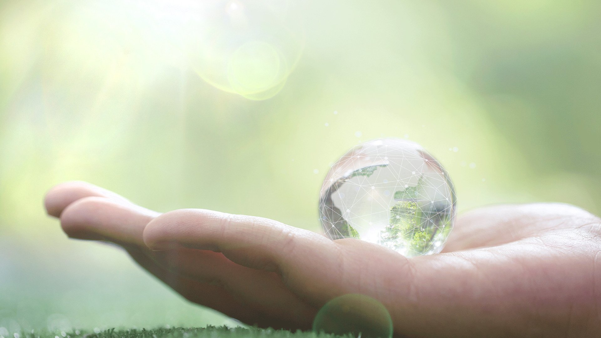 Our-Impact-and-ESG
